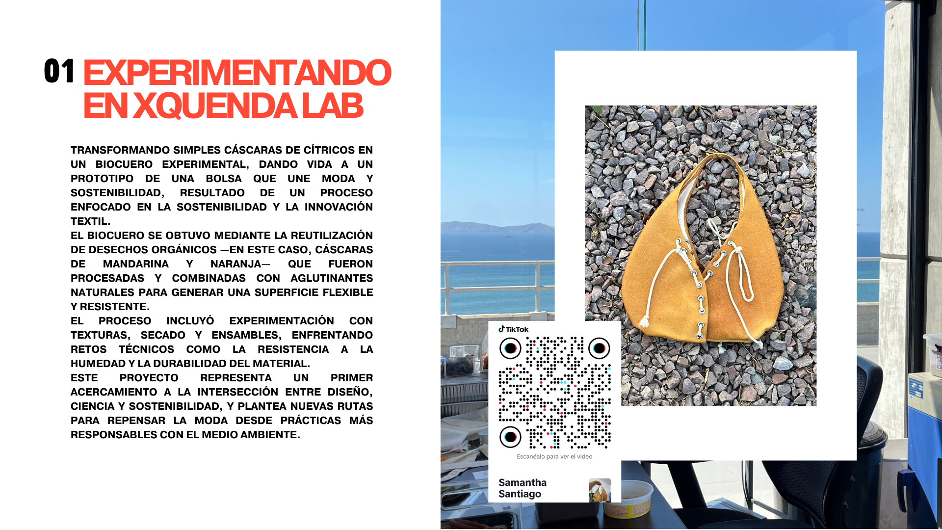 Descripción de la imagen 2